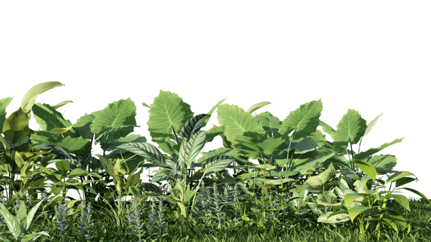 3d rendering illustration nature meadow bush on lawn grass field beautiful plant on white background landscape png