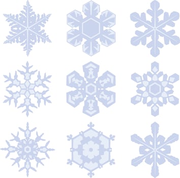 Set of snowflakes isolated on white background vector