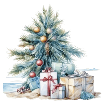 Holiday Christmas design png