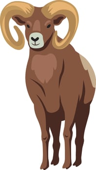 Big Horn Sheep on white background vector