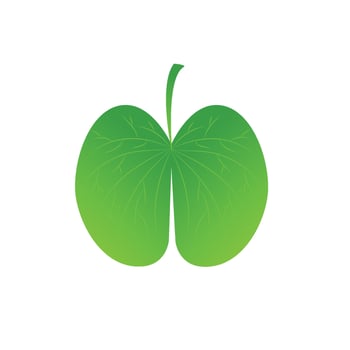 green leaf vector