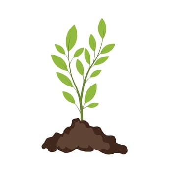 plant green on ground vector