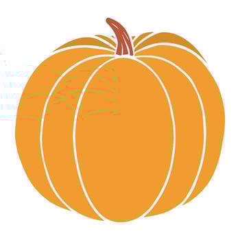 pumpkin vector illustration