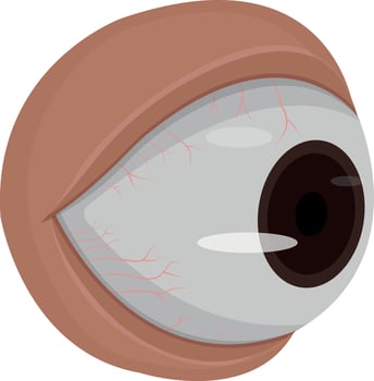 Human eye isolated on white background vector