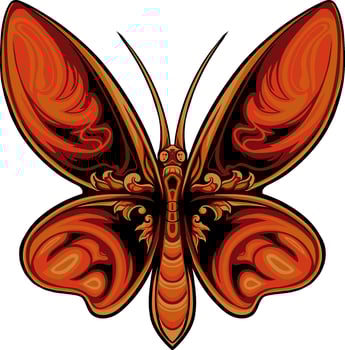 beautiful butterfly vector design for elements
