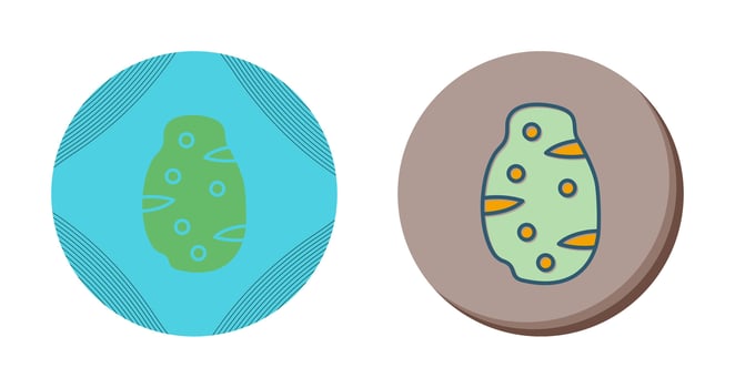 Potato Vector Icon