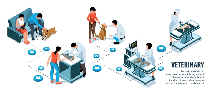Veterinary Isometric Infographics vector