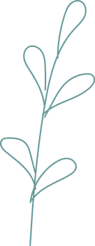 Leaf line hand drawn doodle. png