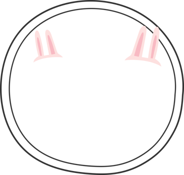 Rabbit frames for decoration, Transparent background png