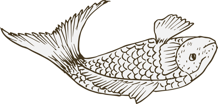 Hand drawn fish on transparent background. png