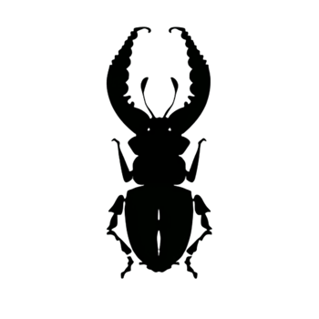 Beetle Silhouette Illustration PNG Transparent Background