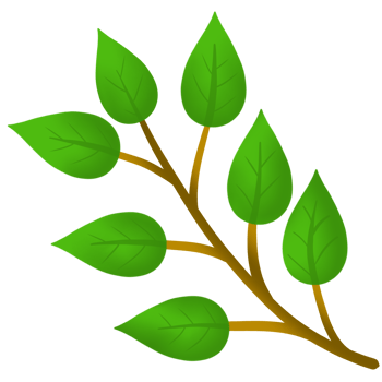 green leaves on a branch icon, png