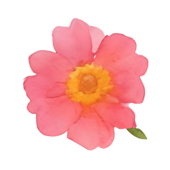 Flower bouquet watercolor png