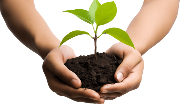 AI generated planting a seed png