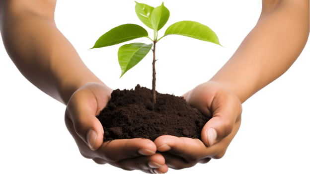 AI generated planting a tree in the hands png