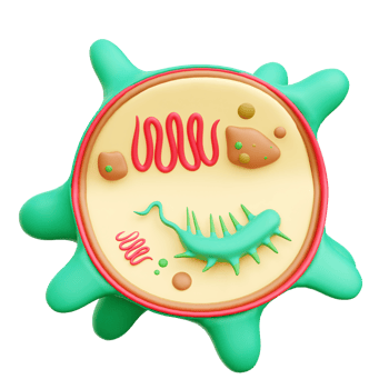 Bacteria 3d Icon Illustration png