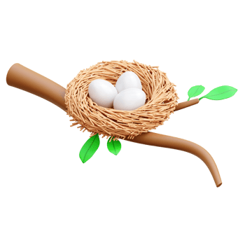Bird Nest 3d Icon Illustrations png