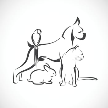 Vector group of pets - Dog, cat, bird, rabbit, isolated on white background. Easy editable layered vector illustration.