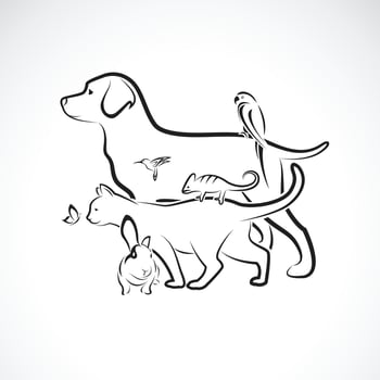 Vector group of pets - Dog, Cat, Parrot, Rabbit, Butterfly, Hummingbird, isolated on white background. Pet. Animals. Easy editable layered vector illustration. Pet group.