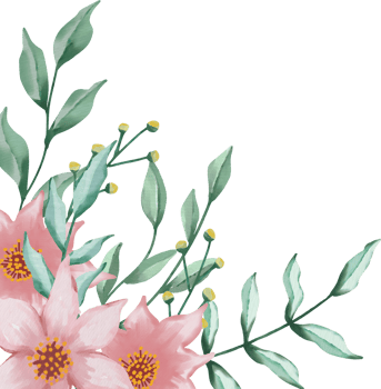 Beautiful floral corner border png