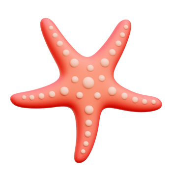 Starfish 3d Icon Illustrations png