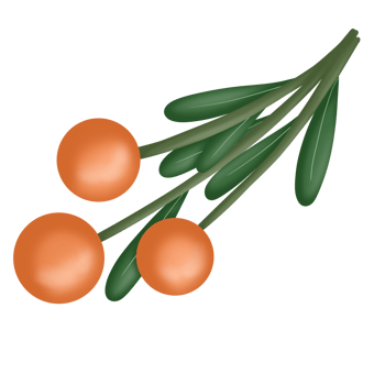 autumn elements illustration of flower png