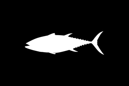 Tuna Fish Silhouette, can use for Logo Type, Art Illustration, Pictogram, Website or Graphic Design Element. Vector Illustration