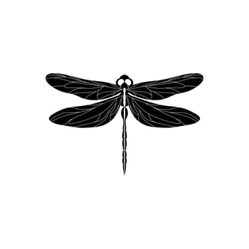 Silhouette of a dragonfly. Glyph icon of insect, simple shape of damselfly. Black vector illustration on white. Perfect for decoration, carving, design.
