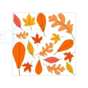 autumn season leaf illustration. autumn leaves set, isolated on white background. simple cartoon flat style, vector illustration.