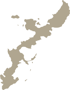 doodle freehand drawing of okinawa island map. png