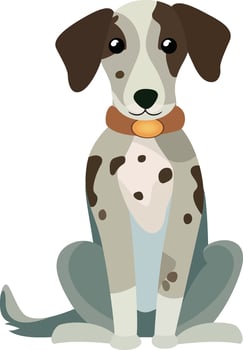 Cute greyhound pup sitting on the floor flat style vector illustration, greyhound dog, Caroline Coile, Caroline Coile puppy stock vector image