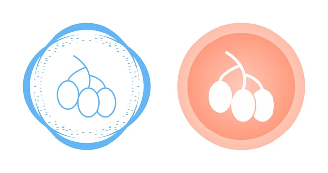 Berries Vector Icon