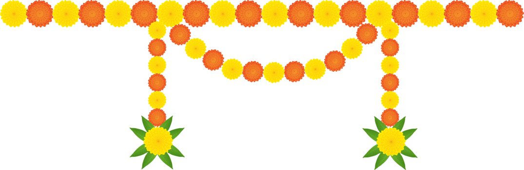 Traditional Indian marigold toran floral garland vector, wedding and festival decoration, border flower decoration with transparent background.Traditional Indian floral garland with marigold flowers. png