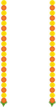 Traditional Indian marigold toran floral garland vector, wedding and festival decoration, border flower decoration with transparent background.Traditional Indian floral garland with marigold flowers. png