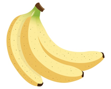 Bunch of Bananas Illustration vector