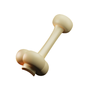 bone 3d rendering icon illustration png
