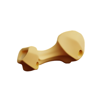 bone 3d rendering icon illustration png
