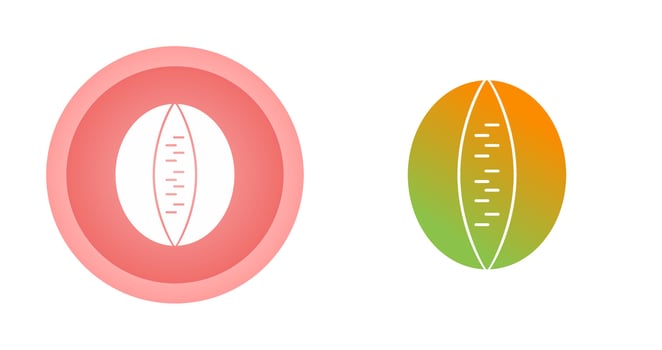 Rockmelon Vector Icon