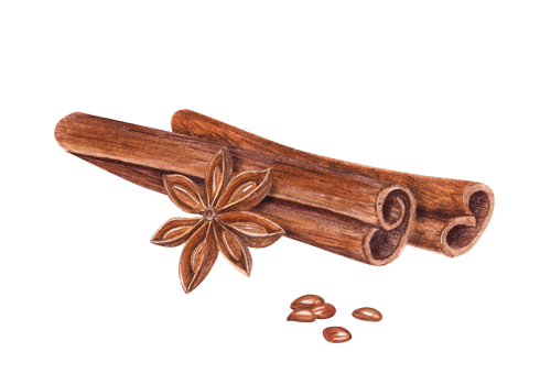 Watercolor cinnamon sticks, star anise on white. Cannella, badian. Aromatic brown spices. Christmas and New Year hand drawn illustration. For greetings, cards, package png