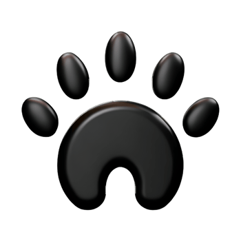 dog paw 3d rendering icon illustration png