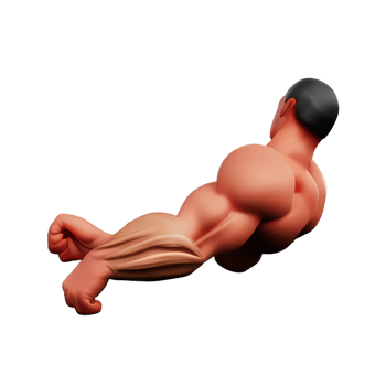 muscle 3d rendering icon illustration png