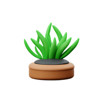 seaweed 3d rendering icon illustration png