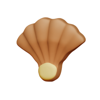 shell 3d rendering icon illustration png