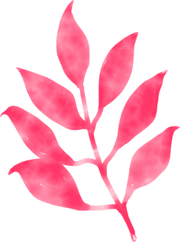 Oriental colorful cute asian doodle flower abstract leaf foliage png