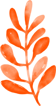 Oriental colorful cute asian doodle flower abstract leaf foliage png