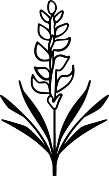 Lavender, Minimalist and Simple Silhouette - Vector illustration