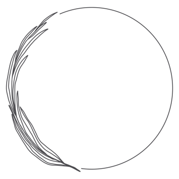 Line art Leaf Wreath png