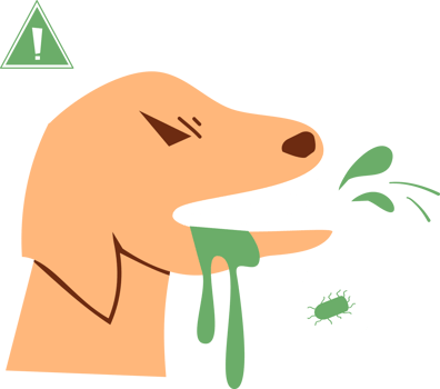 Rabies dog Clipart png