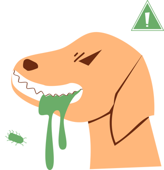 Rabies dog Clipart png