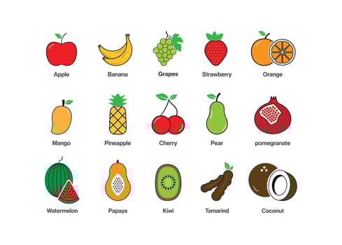 Set of fruits icon vector